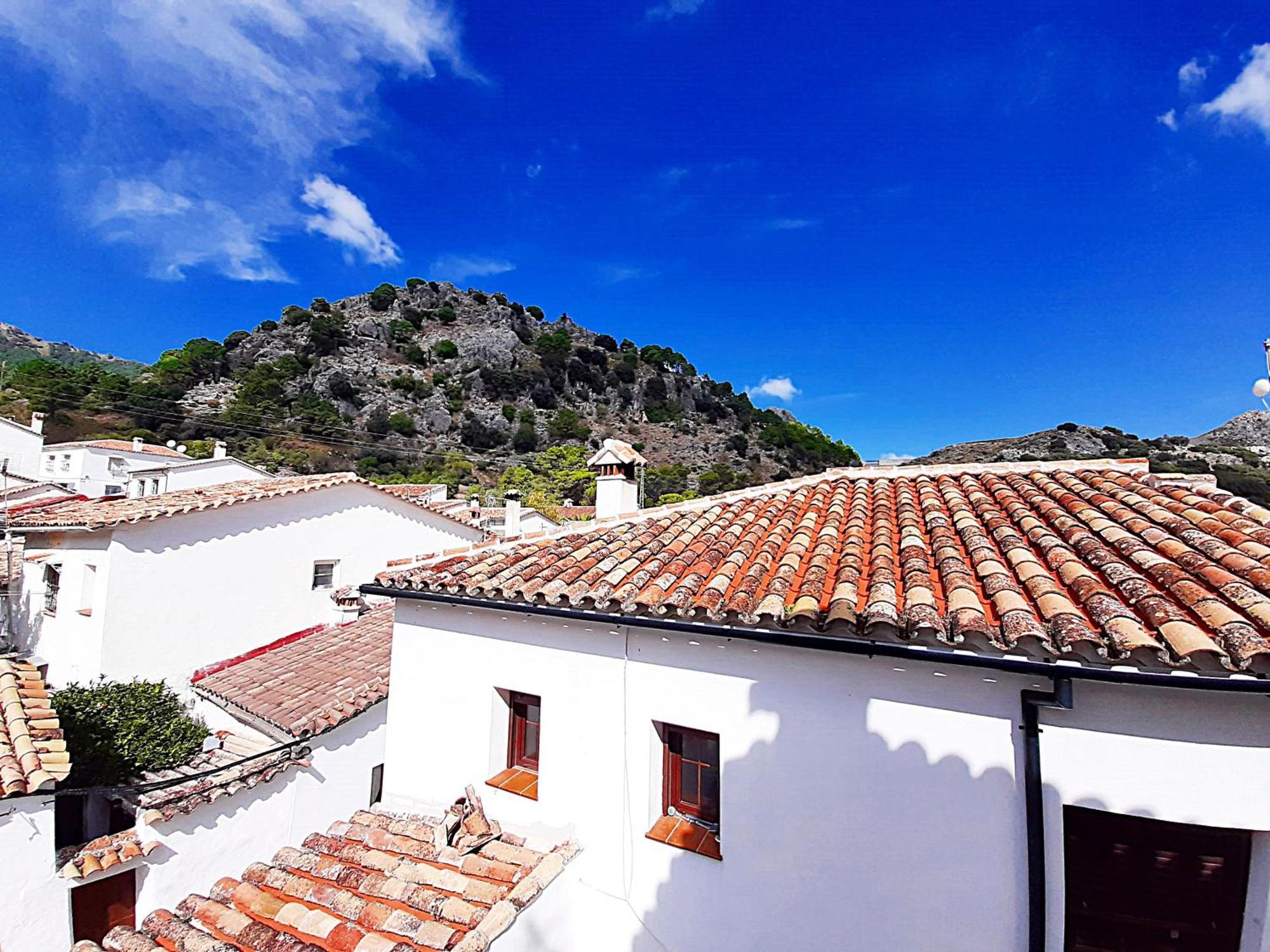Casa Rural La Parra Grazalema Eksteriør billede